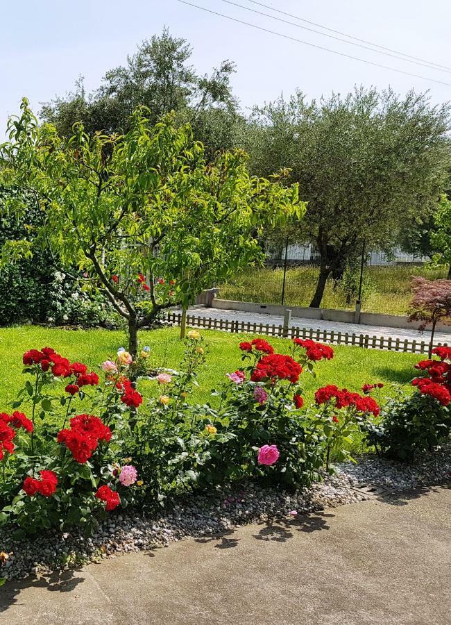 A Casa Di Clementina Daire Raffa Dış mekan fotoğraf